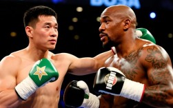 邹市明和梅威瑟拳击赛谁赢了？结局争议有多大？