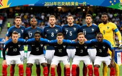法国队2014年阵容为何能杀入决赛却最终失利？