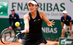 张帅法网第三轮晋级情况如何？