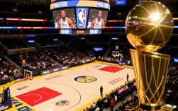 nba总决赛夺冠场地
