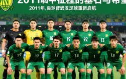 武汉卓尔2011年阵容有哪些关键球员及最终成绩如何？