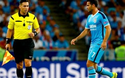 2014亚冠决赛裁判判罚争议有哪些？主裁漏判成焦点？