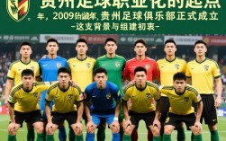 2009年贵州智诚阵容有哪些核心球员及最终成绩如何？