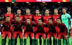 2015葡萄牙阵容图片有哪些主力球员？