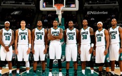 09-10赛季老鹰阵容有哪些核心球员及战术打法？