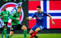 桑纳菲尤尔vs罗森博格谁赢了？比分和赛果是怎样的？