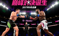 康纳麦格雷戈vs梅威瑟谁赢了？比赛结果到底如何？