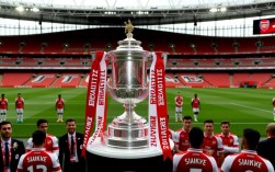 2017足总杯决赛乐视直播在哪看？在线高清资源有吗？