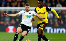 斯旺西对沃特福德谁赢了？比赛结果和进球球员是什么？