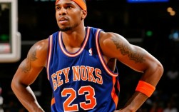 纽约尼克斯2009阵容