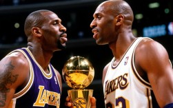 93-94赛季总决赛，谁笑到最后？