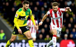 诺维奇和斯旺西比赛结果究竟是谁赢了？