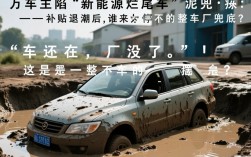 新能源“烂尾车”困扰百万车主