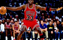 公牛队14年阵容