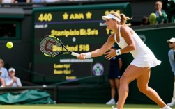 温网女子决赛直播时间怎么查？在哪看免费高清信号？