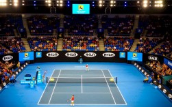 2014澳网半决赛，谁击败了纳达尔晋级决赛？