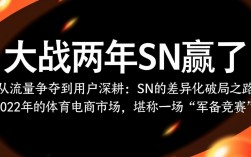 电商大战两年SN凭什么赢？关键策略是什么？