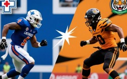 蓝十字踢老虎大学比赛结果到底谁赢了？