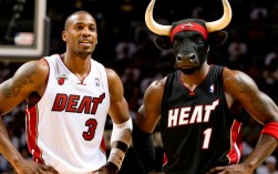 热火小牛11总决赛阵容