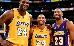 01年湖人什么阵容