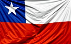 百年美洲杯智利赢了吗？最终夺冠的是哪支队伍？