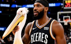 伍德为什么被鹈鹕裁了