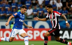 克鲁塞罗vs博塔弗戈谁赢了？比分和关键球员表现如何？