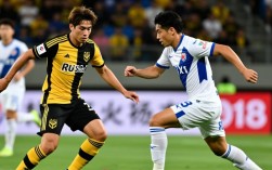 福冈黄蜂vs新泻天鹅谁赢了？最新赛果实时更新！