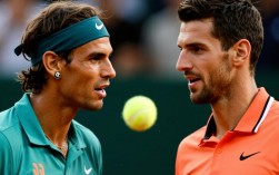 德约纳达尔决赛视频完整版在哪看？