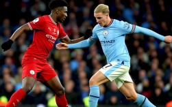 曼城 为什么不拿下坎特