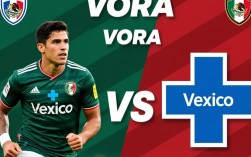 韦拉vs蓝十字谁赢了？最新赛果实时更新！