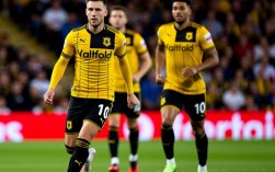 米堡对沃特福德谁赢了？比赛结果和关键球员表现如何？