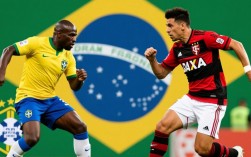 桑托斯和弗拉门戈谁赢了