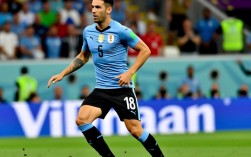 世界杯乌拉圭赢了吗？他们最后成绩怎么样？