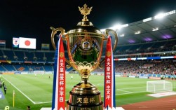 天皇杯决赛比赛地是哪里？