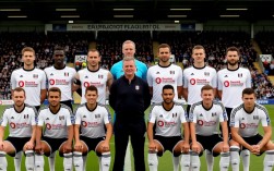 2010年富勒姆阵容有哪些核心球员？战术打法是怎样的？