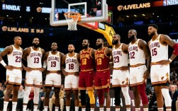 骑士进总决赛次数多少？历史排名第几？