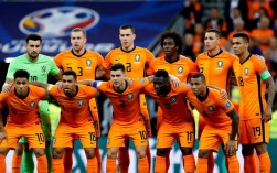 欧洲杯2024为什么没荷兰队参赛？资格赛出局的背后原因是什么？