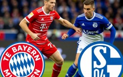 拜仁慕尼黑vs沙尔克04比赛结果是什么？