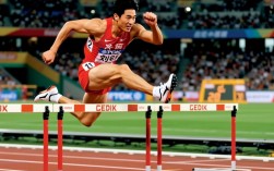 刘翔职业生涯到底赢了多少次国际大赛冠军？