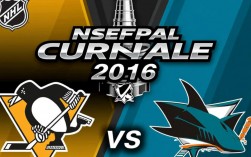 2016NHL总决赛是哪支球队夺冠的？