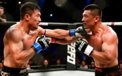 敖日格乐崔洪万谁赢了？比赛结果和关键细节是什么？