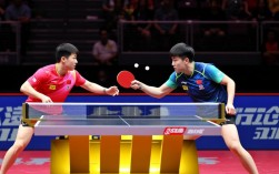 亚锦赛樊振东决赛结果如何？