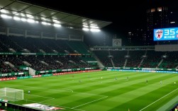 冈山绿雉vs东京绿茵为何突然延期？比赛取消原因曝光