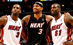 热火和小牛总决赛阵容