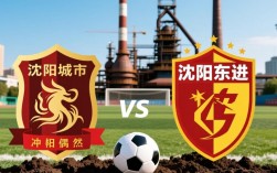 沈阳城市vs沈阳东进冲突背后原因是什么？