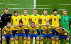 2010年瑞典队阵容有哪些核心球员？