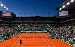 法网施瓦茨曼和蒂姆的比赛结果究竟是谁赢了？