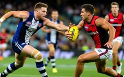 珀斯对阿德莱德谁赢了？最新比赛结果出炉了吗？