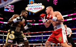 梅威瑟和麦格雷戈谁赢了